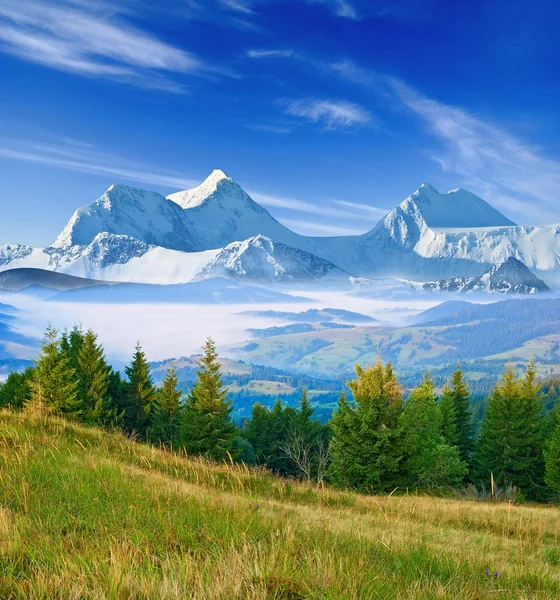 Veliké hory v mlze — Stock fotografie