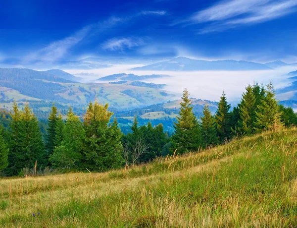 Grüne karpatische Landschaft — Stockfoto
