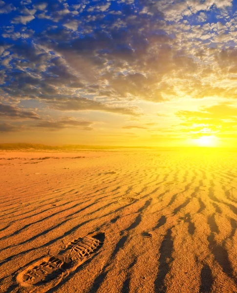 Dramatic sunset in a sand desert — Stock Photo, Image