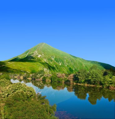 Beautiful river in a mountain valley clipart