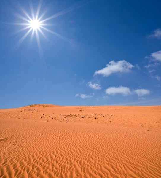 Горячая песчаная пустыня под сияющим солнцем — стоковое фото