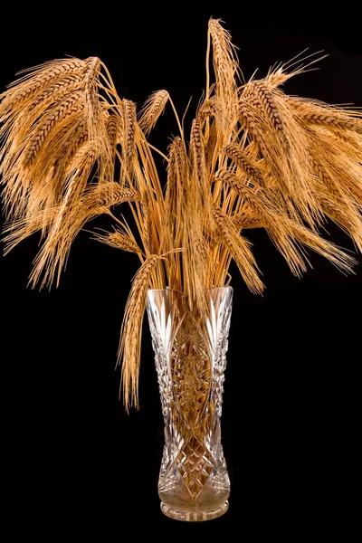 Vase en cristal avec épis de blé — Photo
