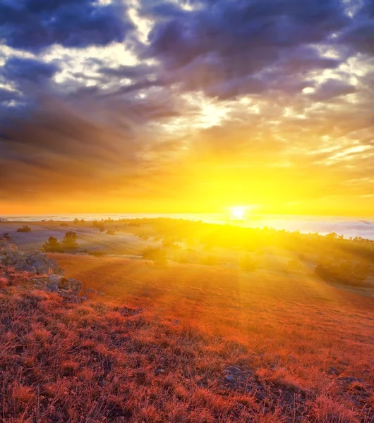 Dramatic sunrise in a steppe — Stock Photo, Image