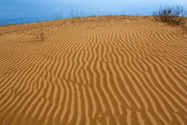 在沙漠里的沙丘 — 图库照片