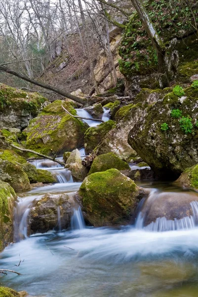Small brook in a canyon — Stock Photo, Image