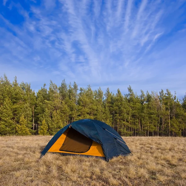 Campamento turístico en un claro bosque — Foto de Stock