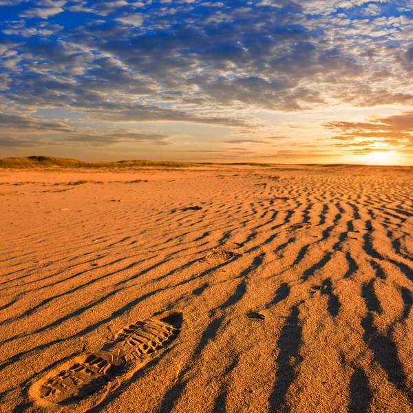 Rood zand woestijn bij de avond — Stockfoto