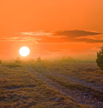Steppe at the sunset clipart