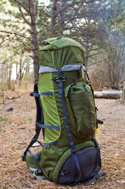 bir ormandaki yeşil turistik sırt çantası