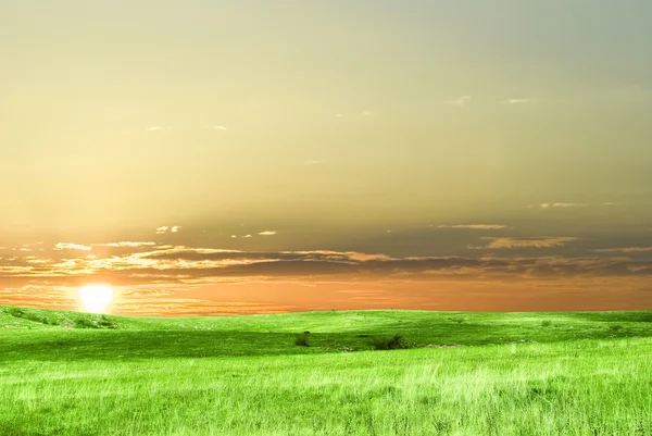 Coucher de soleil dans la steppe — Photo