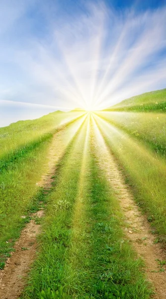 Road in a rays of sparkle sun — Stock Photo, Image