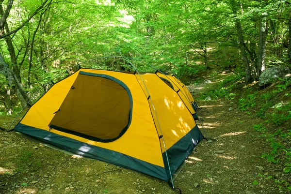 Tenda turistica in una foresta — Foto Stock