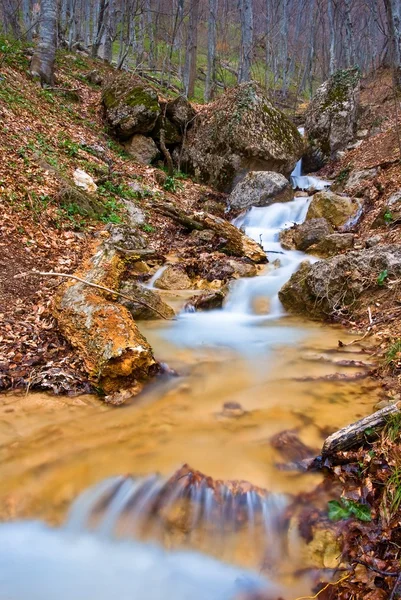 Petite rivière dans un canyon — Photo
