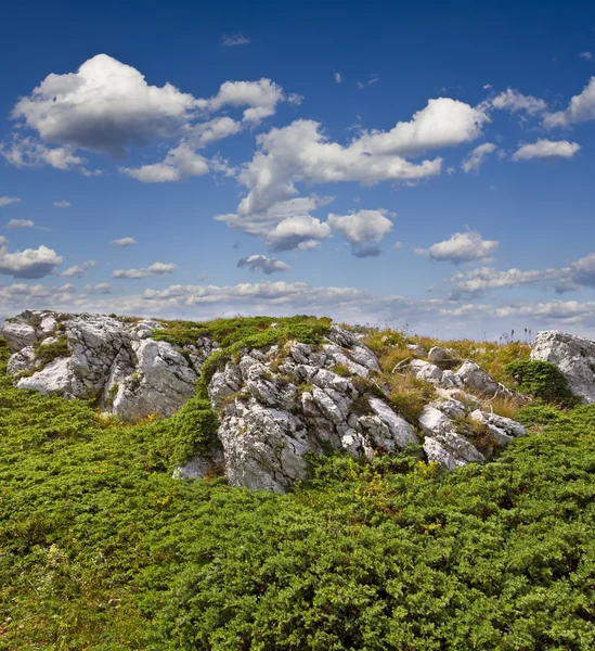 Зеленый каменистый холм — стоковое фото