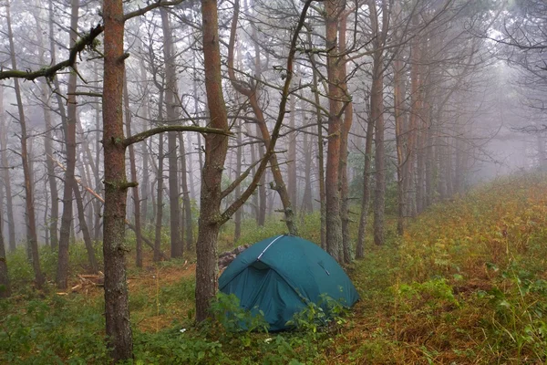 在一个多雾的森林旅游帐篷 — 图库照片