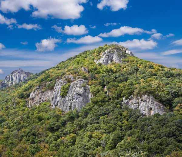 Schöner grüner Berggipfel — Stockfoto