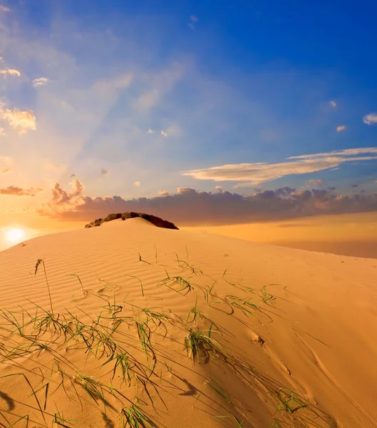 Písečné duny v západu slunce — Stock fotografie