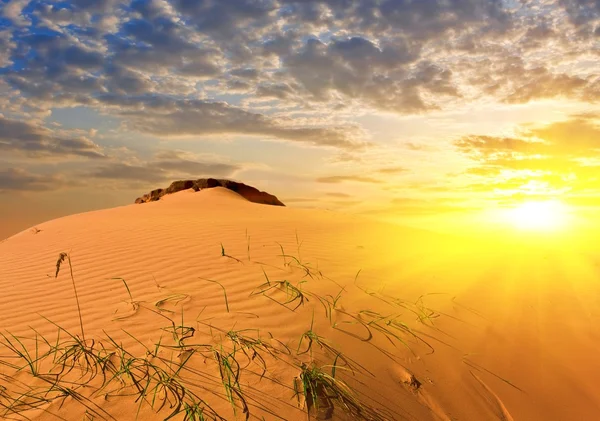 Deserto arenoso ao pôr do sol — Fotografia de Stock