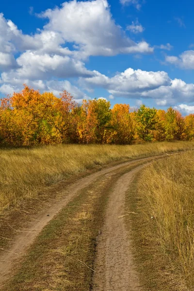 Drogi ziemi w jesień stepu — Zdjęcie stockowe