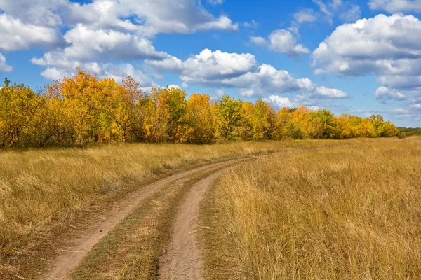 Route au sol parmi des champs d'automne — Photo