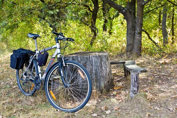 Bicicleta turística em uma floresta — Fotografia de Stock