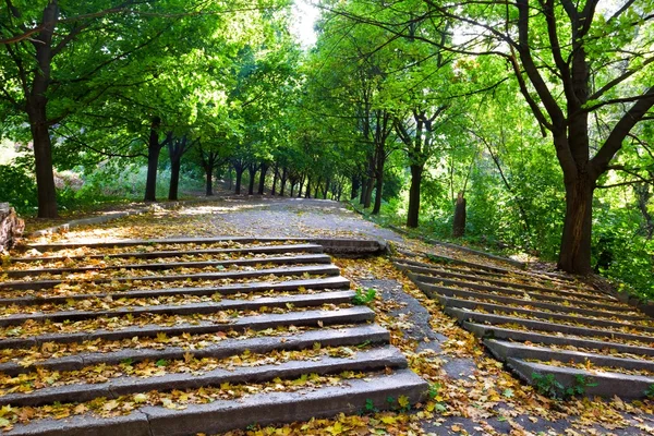 Treppenaufgang in einem Park — Stockfoto