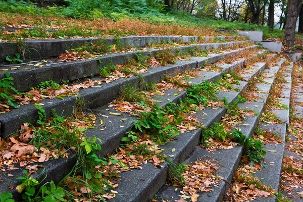 Каменная лестница в сухих осенних листьях — стоковое фото