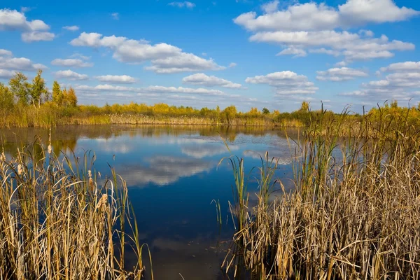 Tranquillo lago d'autunno — Foto Stock