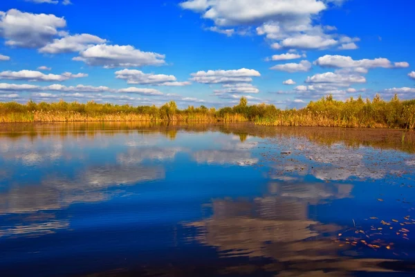 美しい夏の湖 — ストック写真