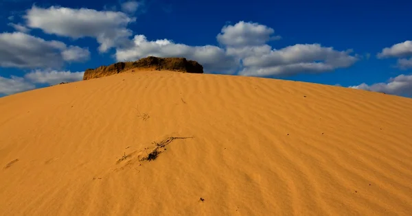 Дюна в песчаной пустыне — стоковое фото