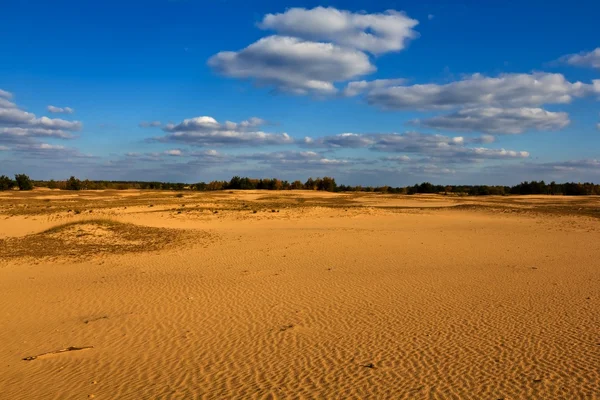 Sandy desert landscape — Stock Photo, Image