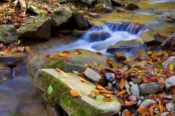 Primo piano autunno fiume — Foto Stock