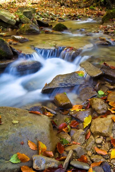 Corriente de agua de otoño — Foto de Stock