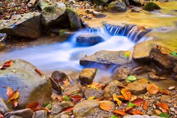 Daun musim gugur dan air deras — Stok Foto