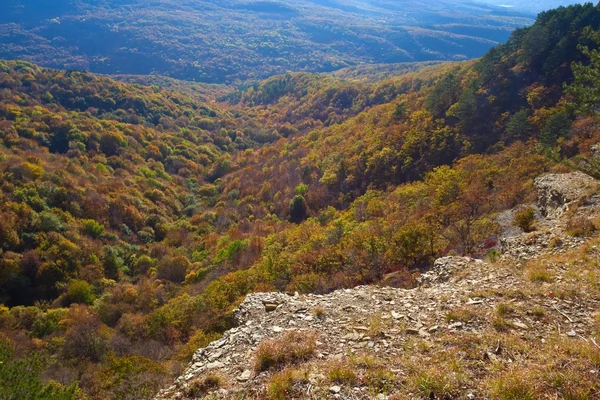 stock image Autumn mountain valley in a blue mist