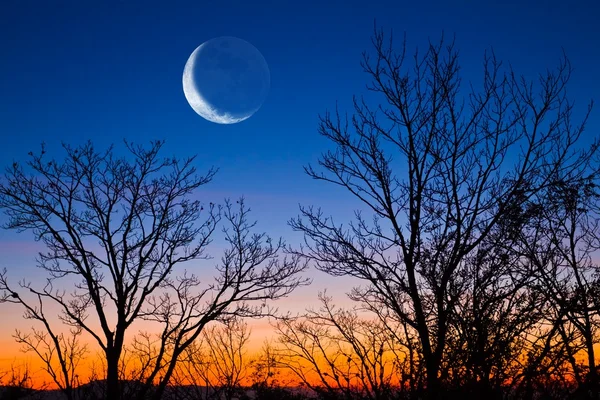 Μισό φεγγάρι σε βράδυ ουρανό — Φωτογραφία Αρχείου