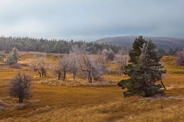 Paisagem de outono — Fotografia de Stock