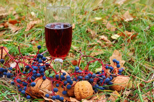 Bicchiere di vino rosso nell'erba — Foto Stock