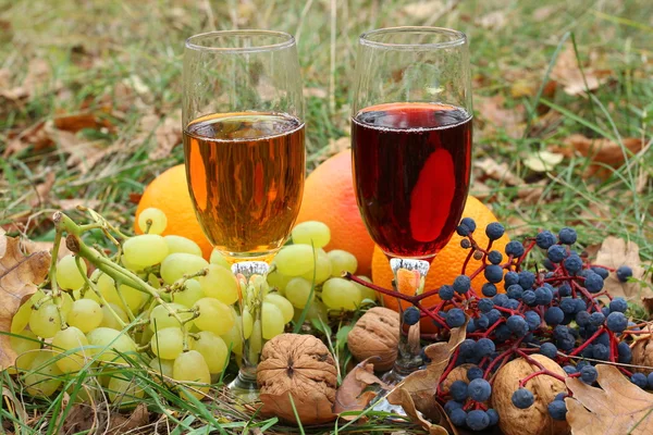 Two glasses of red and white wine in a grass — Stock Photo, Image