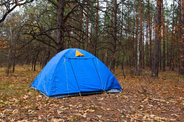 Niebieski namiot turystyczne w lesie — Zdjęcie stockowe