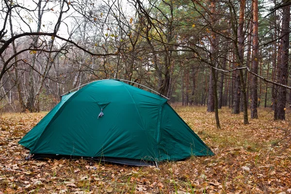 Зеленая туристическая палатка — стоковое фото