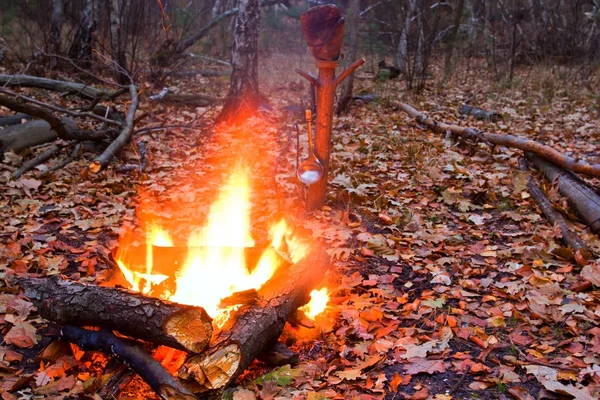 Brand i en höst skog — Stockfoto
