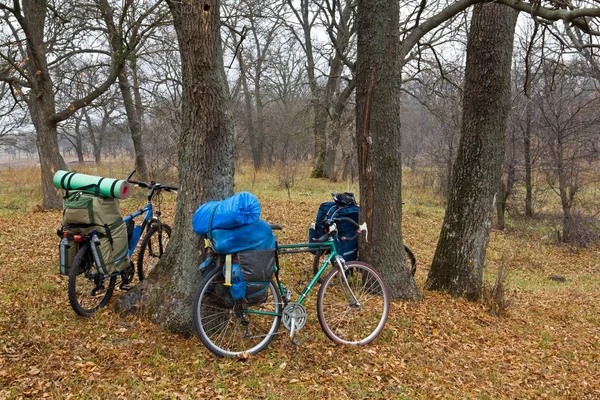 Cyklar i en höst skog — Stockfoto