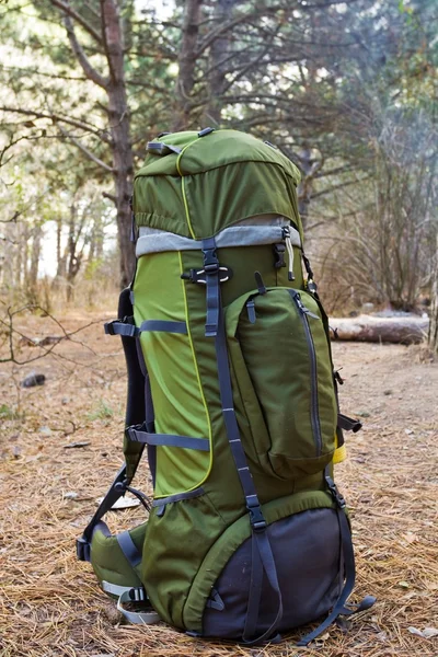 Zelená turistický batoh v lese — Stock fotografie