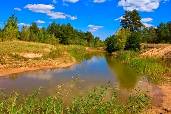 stock image Blue lake in a summer steppe