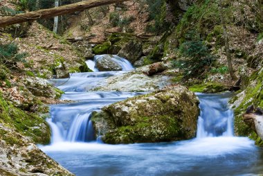 Cascades bir dağ nehir üzerinde