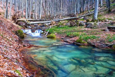 güzel zümrüt dağ Nehri