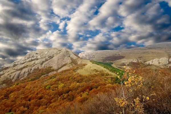 Herfst in de bergen — Stockfoto