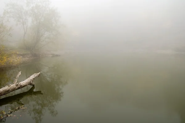 stock image Morning autumn lake