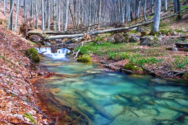 Beautiful emerald mountain river — Stock Photo, Image